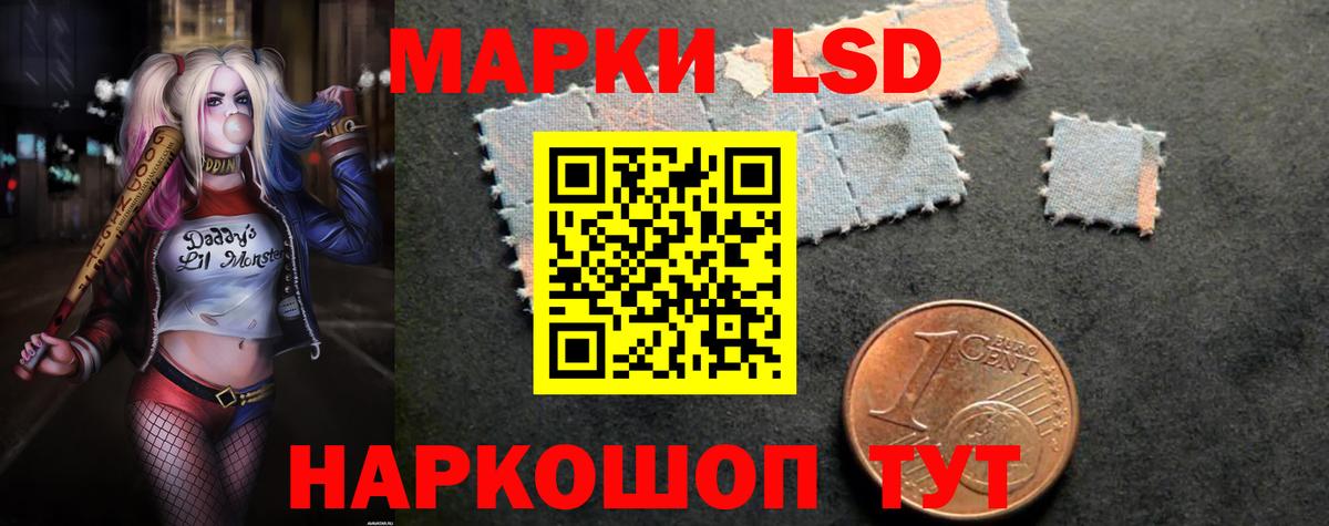   tor  LSD-25 экстази ecstasy  Вход с VPN  Новозыбков  LSD-25 экстази кислота 